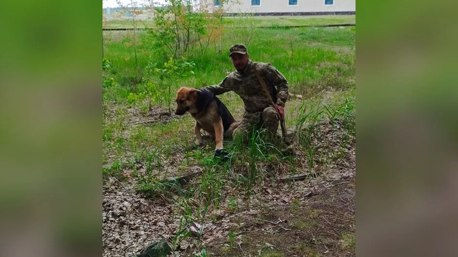 Максимюк1